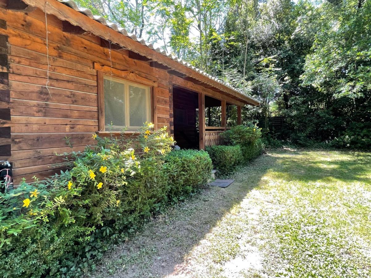 Bastidette Florestane Saint-Rémy-de-Provence Zewnętrze zdjęcie