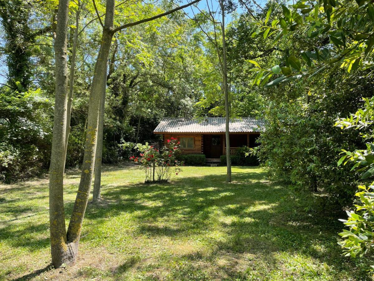 Bastidette Florestane Saint-Rémy-de-Provence Zewnętrze zdjęcie