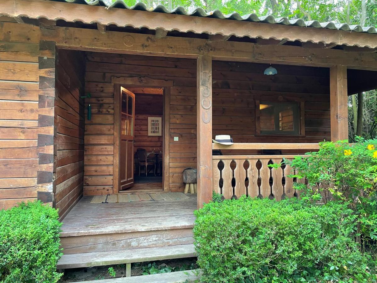 Bastidette Florestane Saint-Rémy-de-Provence Zewnętrze zdjęcie
