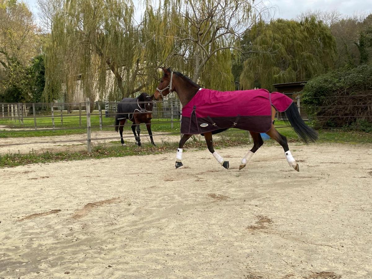 Bastidette Florestane Saint-Rémy-de-Provence Zewnętrze zdjęcie