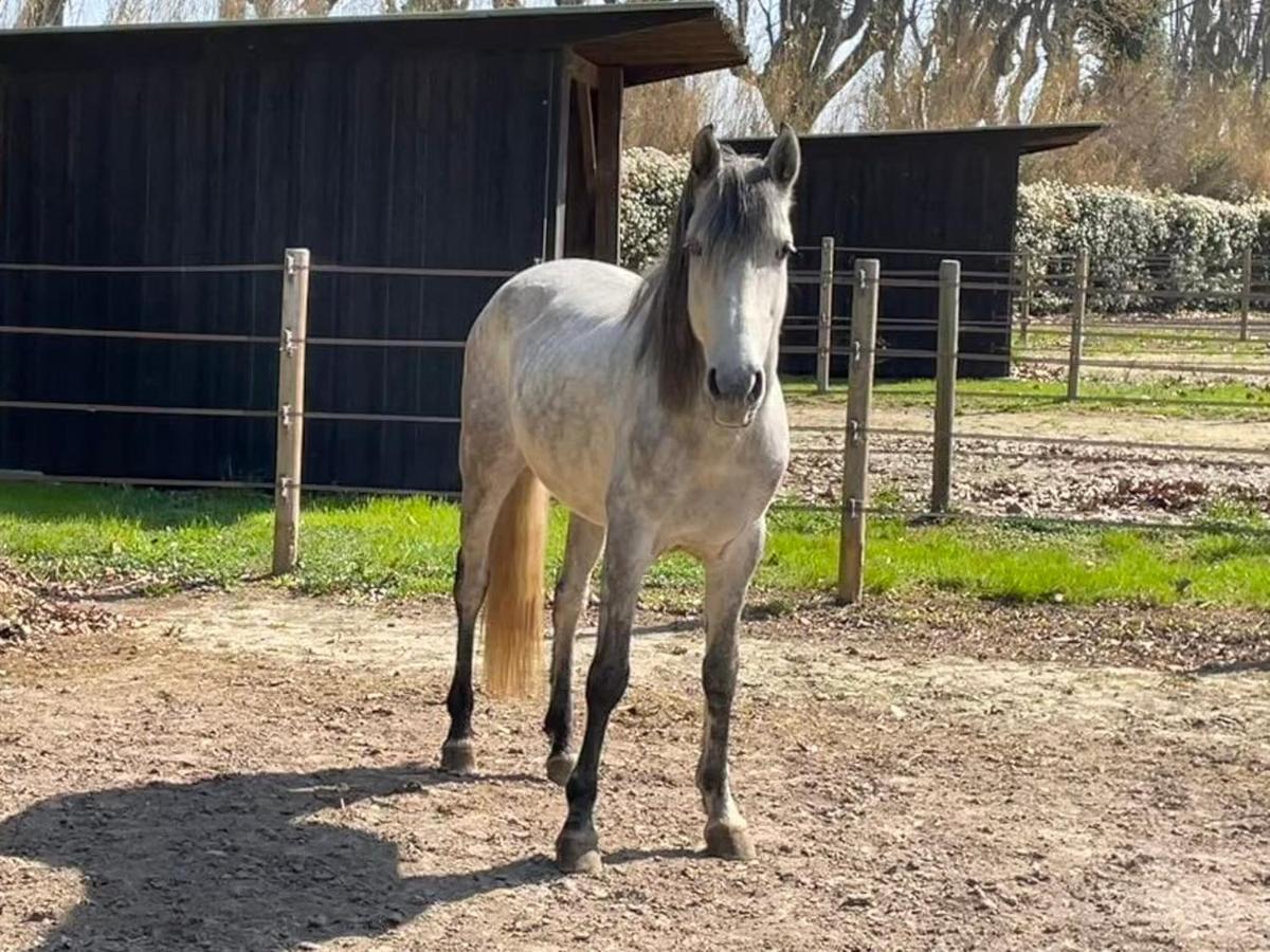 Bastidette Florestane Saint-Rémy-de-Provence Zewnętrze zdjęcie